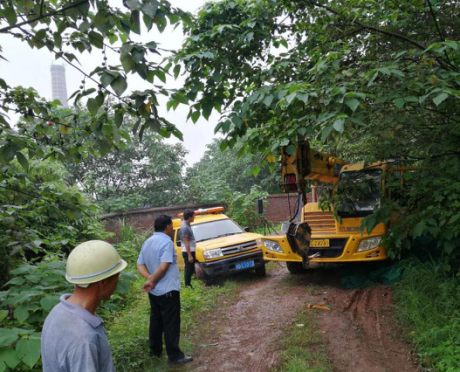 不畏風雨,不懼驕陽